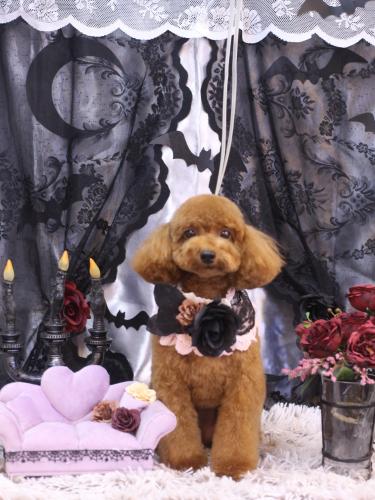 20231024モモちゃん